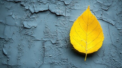 Yellow leaf on textured gray surface