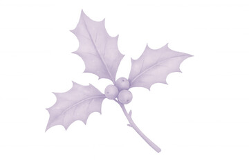 Fototapeta premium Purple-toned holly sprig with berries, isolated on a transparent background, evokes a sense of calm and winter magic