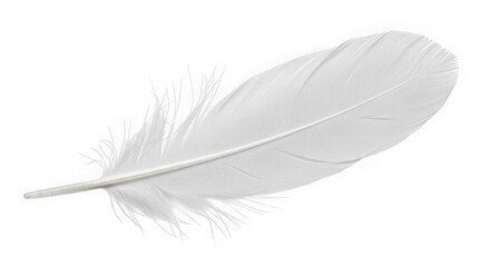 Obraz premium Elegant white feather isolated on transparent background