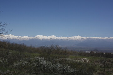 snow covered mountains