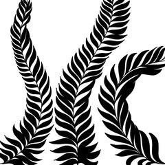 Fototapeta premium feathers vector illustration