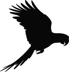 Silhouette of flying parrot bird with wings spread, exotic tropical wildlife vector illustration, isolated black shape animal design for artwork