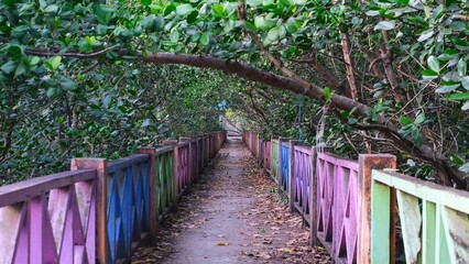 Colorful fenced walkway under tree canopy  
