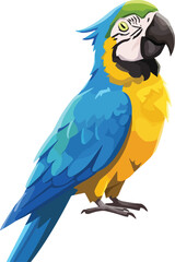 Fototapeta premium Web