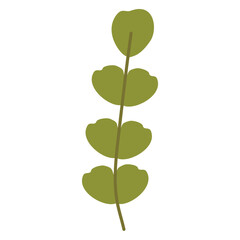 flat simple grass with aligned green leaves vector clipart isolated on transparent background