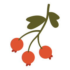 flat simple red berry with green leaf vector clipart isolated on transparent background