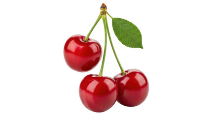 Isolated Three Cherries with Stem and Leaf