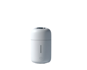 A light gray, rounded, oval-shaped device.  Features a vertical line and a small circle on its front.  Simple, modern design