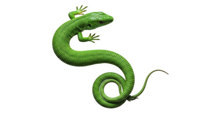 Isolated Green Lizard