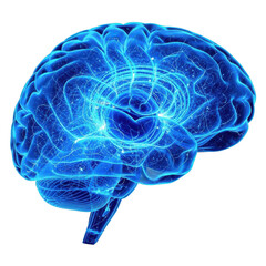Blue brain isolated on transparent background 