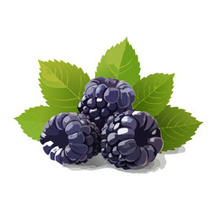 Illustration of three blackberries with green leaves on black background summer harvest healthy eating nutritious snack