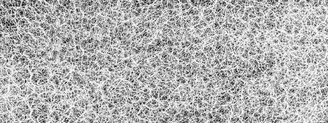 White color abstract web on black background