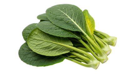 Isolated Fresh Collard Greens Bunch