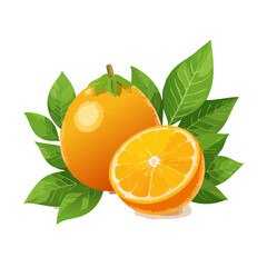 Two oranges illustration whole and halved with vibrant leaves isolated on black background