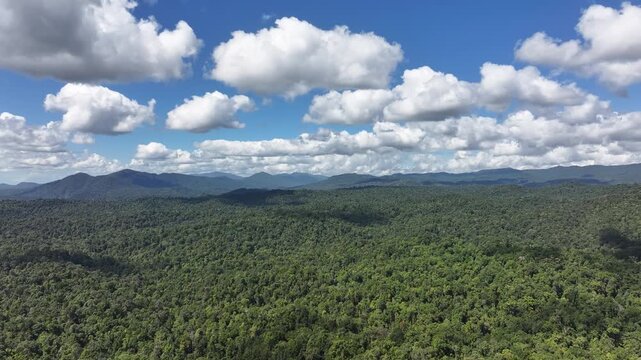 Aerial footage of Milla Milla Queensland Australia