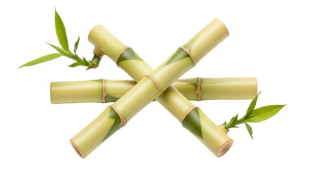 Fototapeta premium Isolated Bamboo Stalks Crossed