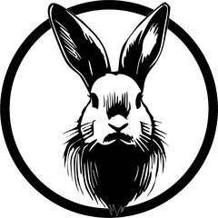 background ilustration rabbit