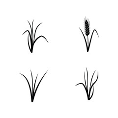 Wheat field growth stages silhouette icon set agriculture plant development agricultural harvest cycles vector