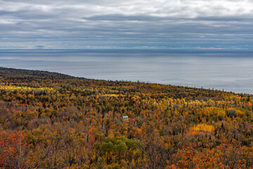 Autumn Forest Overlooking a Great Superior Lake