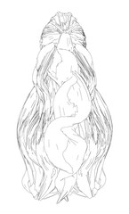 A female long flowing hair in a clean black and white contour drawing against a plain white background.