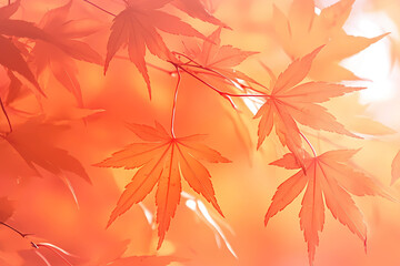 紅葉したもみじの背景イラスト