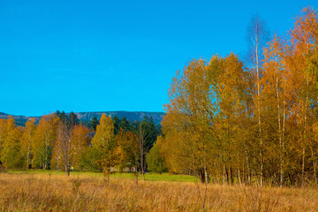 autumn landscape in Karpacz, Poland
