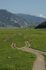 Altai Mountains covered with greenery. Valley in the mountains