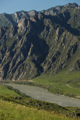 Altai Mountains covered with greenery. Valley in the mountains