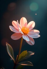 Fototapeta premium A single orange flower blossoms brightly among the green grass, a stunning and beautiful closeup of nature's summer beauty