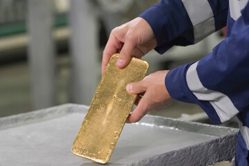 a gold bar of rough smelting in hands of a worker.