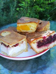 Peach, cheese, and sour cherry pie on a plate, photographed up close, with a green plant background.