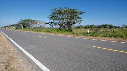 Fototapeta premium A long stretch of empty asphalt road in the countryside, bordered by green fields and trees, beneath a bright clear blue sky. 