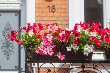 Blumenkasten auf dem Balkon eines Altbaus, Bremen, Deutschland