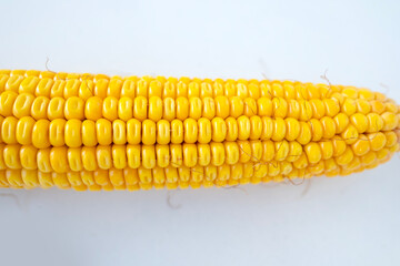 Golden corn kernels on ripe cobs, natural detail, healthy eating, rustic crop, fresh from field, vegetarian diet, summer agriculture