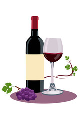 Bottle of red wine with glass and grapes. Alcohol beverage for celebration. Still life beverage for restaurant menu. Simple vector illustration