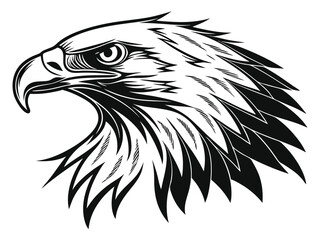 Fototapeta premium eagle head vector illustration
