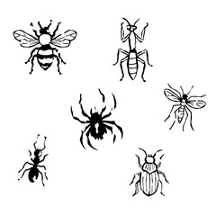Hand drawn engraving style set of insects. Includes bee, fly, ant, beetle, mantis, and spider. Vintage medieval illustration in gothic style