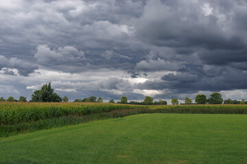 Dark storm clouds gather over lush green fields in a rural landscape during late afternoon