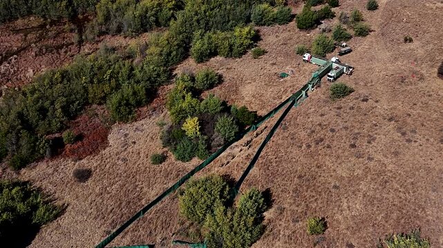 Wildlife capture in boma and pushing wildebeest into loading trucks, top aerial