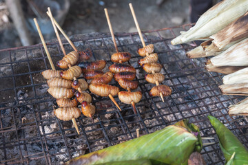 Grilled bamboo worms skewers cooking on outdoor charcoal grill with corn and banana leaves