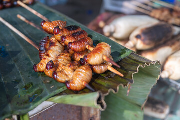 Grilled edible insect larvae skewers on banana leaf at outdoor market