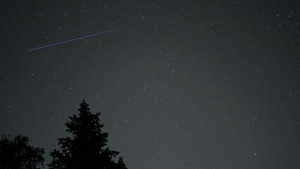 Satellite leaves a bright trail across a dark, starry night sky, with the silhouettes of pine trees in the foreground, creating a serene and awe inspiring scene