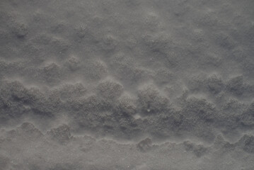 Fresh snow slightly clumped in sunlight