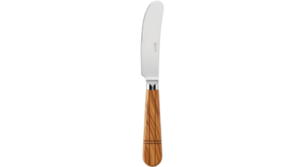 Isolated Butter Knife