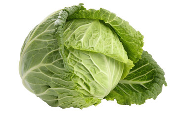 Fototapeta premium Vibrant Savoy Cabbage A Fresh, Isolated Side View of Culinary Green Goodness for Healthy Cooking