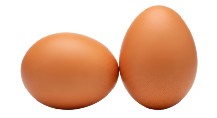 Isolated Eggs