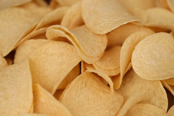Homemade Flavored Paprika Potato Chips in a Bowl, top view. Flat lay