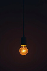 Glowing incandescent light bulb in darkness image photo