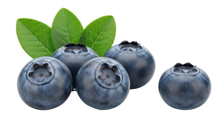 Isolated Fresh Blueberries with Leaves