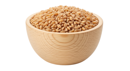 Isolated Bowl of Wheat Grains
